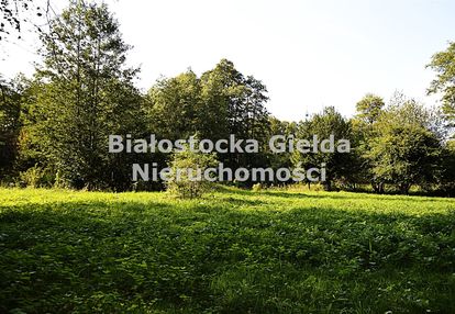 Działka budowana//klewinowo//z lasem