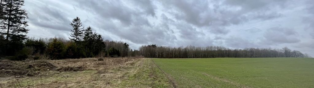 Działka przy lesie więckowy i skarszewy