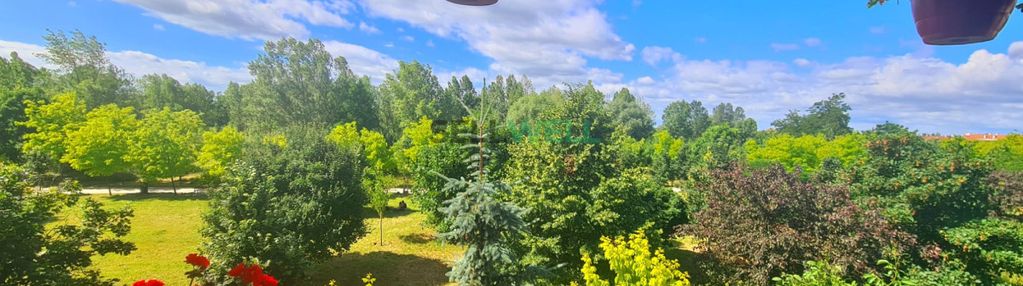 3-pokoje z widokiem na park migdałowy