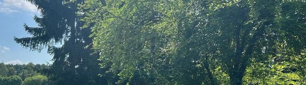 Działka budowlana lutol mokry 667m2