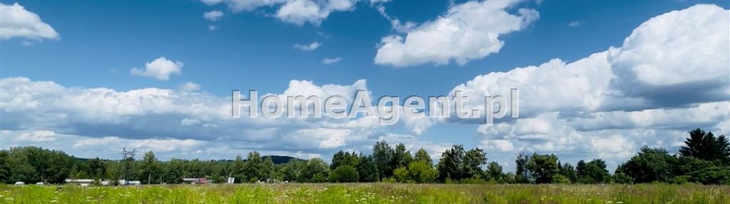 Natura za oknem cudownie miejsce do życia.