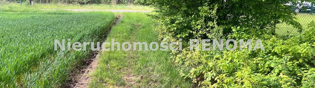 Na sprzedaż działka budowlano-rolna jastrzębie-zdr