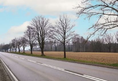 Inwestycyjna działka na trasie gdynia - żukowo