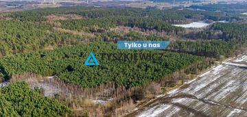 Twój prywatny las w sercu natury – kazimierz,