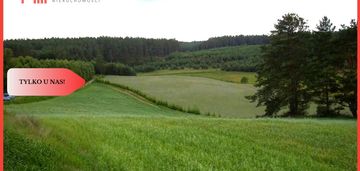 Tylko u nas! wyjątkowe działki z wz-tuszkowy