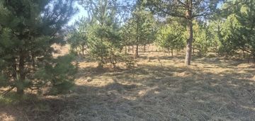 Działka rolno-leśna  – idealna pod dom letniskowy