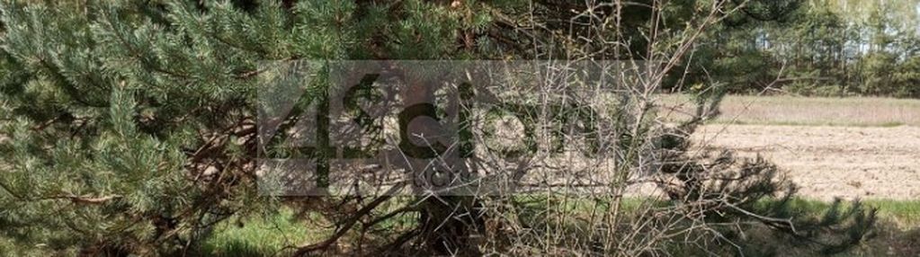 Działka z dostępem do rzeki w broku