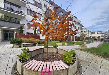 Duże 3 pokojowe mieszkanie na wynajem długoterminowy