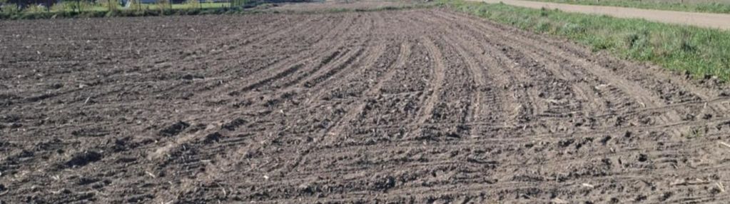 1000 m2 działka budowlana m. skrybicze