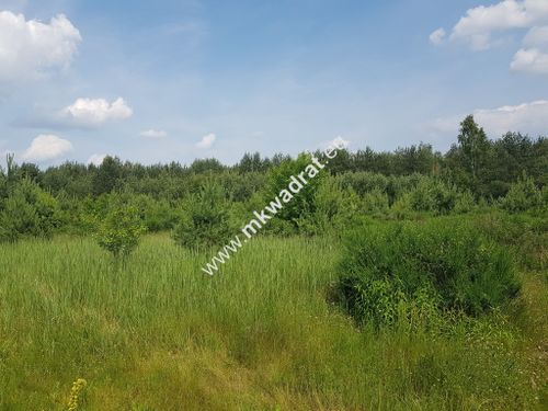 ⭐⭐⭐⭐⭐ działka 4000 m² - usługowo-budowlana mpzp!