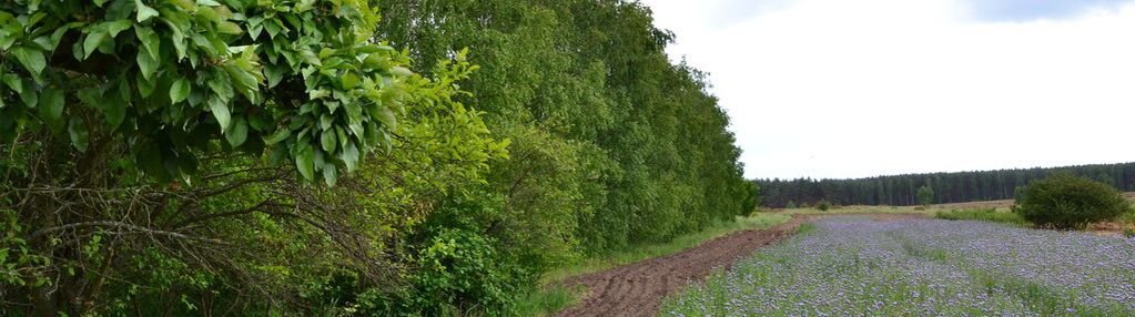 Grunty na sprzedaż w dobrej lokalizacji