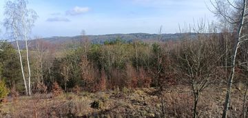 Urokliwa działka , możliwość podziału