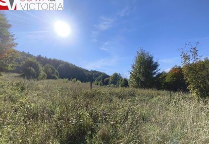 Działka rolno-leśna