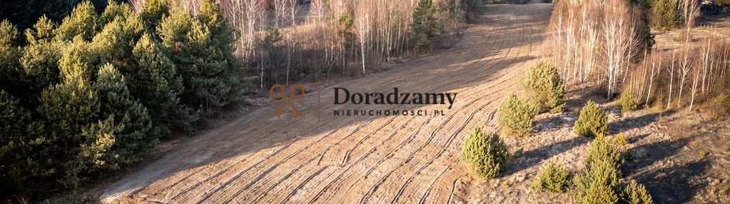 W trakcie podziału na 8 działek budowlanych