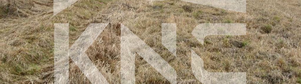 Działka rolno-rekreacyjna 9.94a, boguchwała