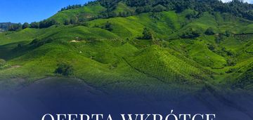 Ostatnia w okolicy | twoje miejsce |