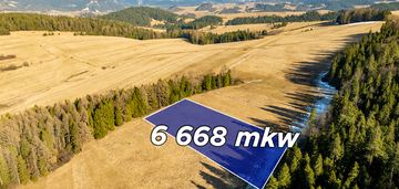 Szukasz lokaty kapitału w sąsiedztwie lasu?