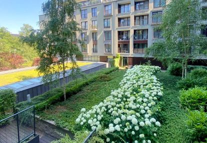 Piękny widok na walońskiej