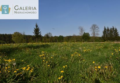 Malownicza działka w otoczeniu lasów- aniołowo