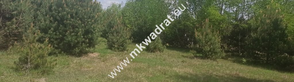 Super działka 1200m2 media szkoła mpzp! kuklówka!