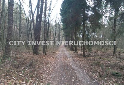 Las 65 arów do sprzedaży