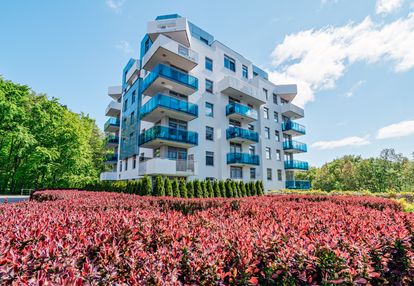 3 pokoje apartamenty na polanie w otulinie lasu