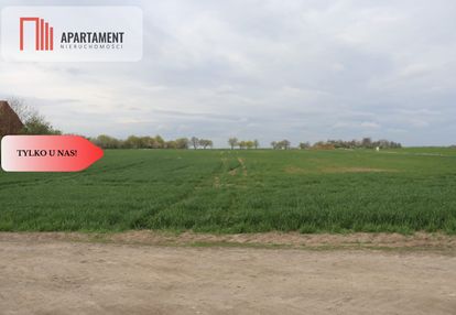 Duża działka 1,15 ha z zabudowaniami