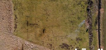 Działka inwestycyjna w bardzo dobrej cenie