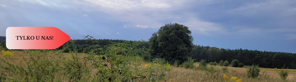 Tylko u nas! świetna lokalizacja, cisza!