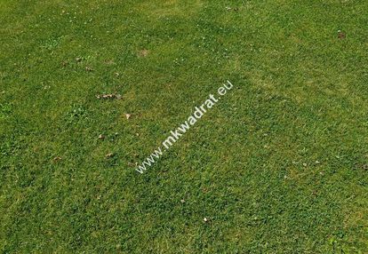 Ciekawa oferta dla developera