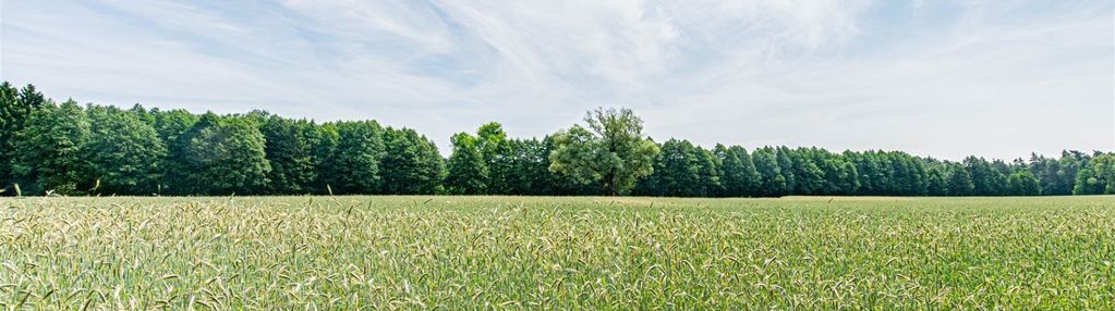 Na sprzedaż działki budowlane w wyszynkach