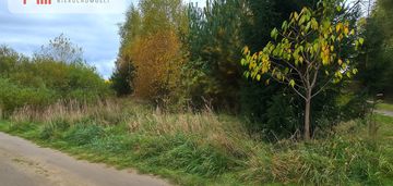 Działka 3039 m² w siwiałce –las, jezioro w okolicy