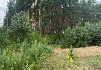 Piękna działka pod zabudowę w ok. puszczy białej
