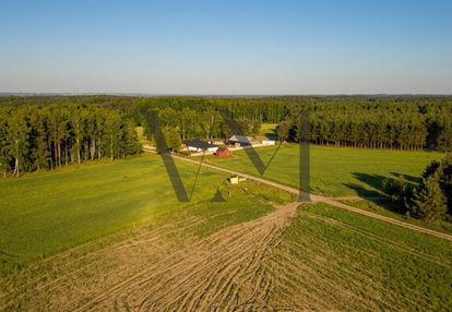 Siedlisko/gospodarstwo/ranczo pod lasem z domem