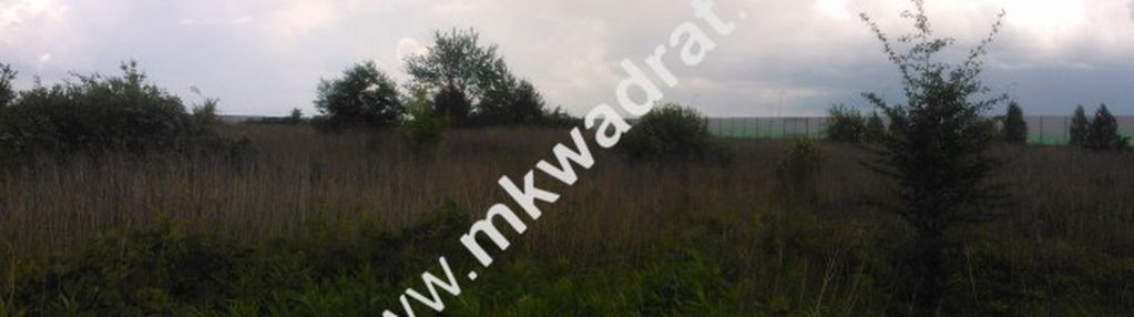 Rewelacja pod inwestycje, blisko a2, dobry kształt