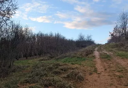 Działka na sprzedaż 7364m2