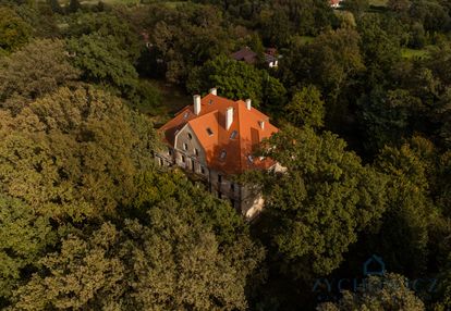 Zabytkowy pałac z parkiem – wilków, woj. opolskie