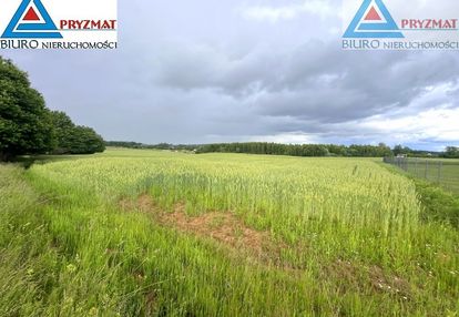 Sprzedam działkę - gady