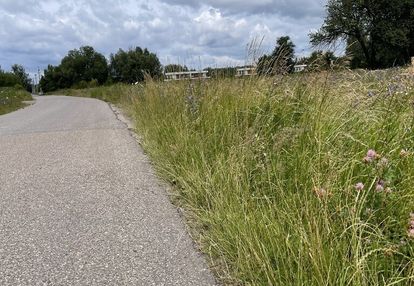 Działka przemysłowa 10 244 m² z mediami, słupno.