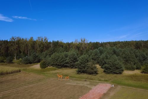 Działki budowlane |jelcz laskowice |wykonane media