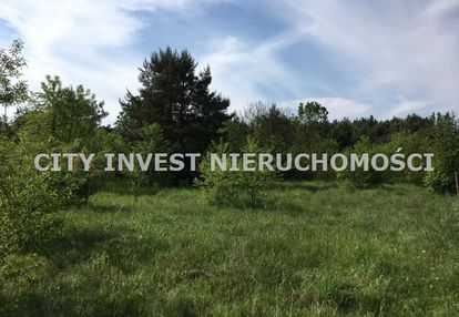Atrakcyjne działki w nowej zielonej górze
