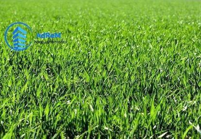 Działka 3400 m2 z wz w turośni dolnej