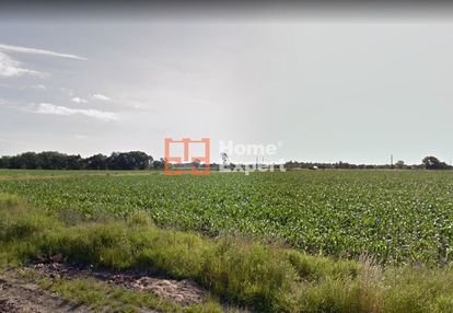 Działka iwiny pod bliźniaki 3ha