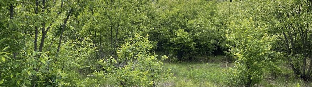 Działka budowlana 905 m² – słupno k. radzymina