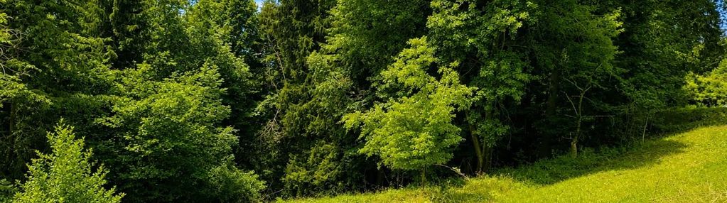 Działka budowlana 1161 m² | milówka