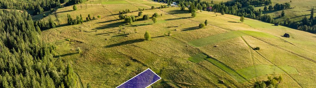 Działka rolno-leśna zakopane