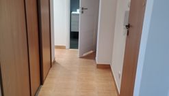 Mielec do wynajęcia mieszkanie biernackiego balkon