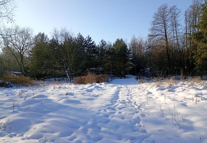 Działka, gmina żabia wola, blisko legiatc, 2064 m2.