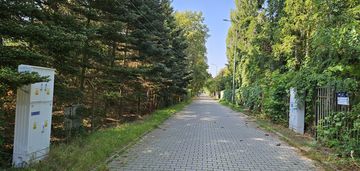 Unikatowa dzialka i lokalizacja- starodrzew,