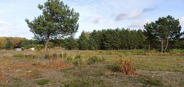 Tylko u nas! działka, godzimierz